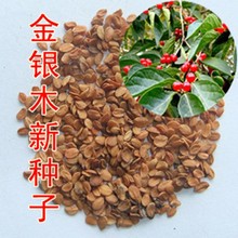 NӻlyľN²ɹľNӈ@־GľNӹľN