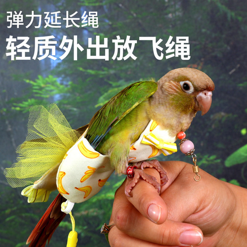 Bird with Parrot Flying Rope, Zhen Feng Tiger Skin Peony Harness, Bird Walking Outfit, Outdoor Bird Walking Tool
