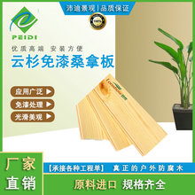 �ɼ����ɣ�ð� �o������ ɣ�ð匍ľ�۰彨�B���S���ԭ����