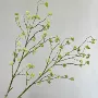 米兰仿真家居植物小豆
