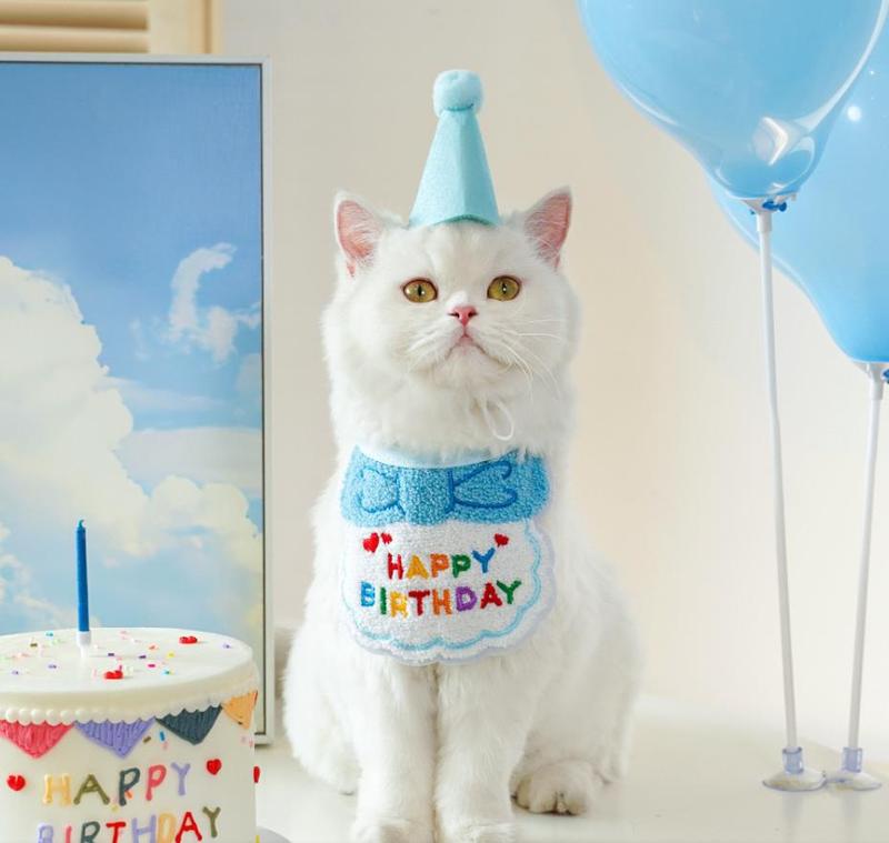 宠物狗狗猫咪生日派对装饰装扮围脖拍照道具围巾帽子围兜蛋糕蜡烛|undefined