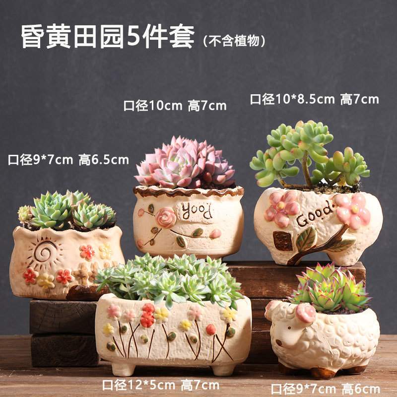 Twilight pastoral transpirable suculentas maceta cerámica hogar carne especial pequeña cerámica cerámica venta directa de fábrica al por mayor