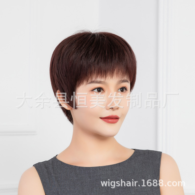 Wig Women's Middle-aged and Elderly Mechanism Real Hair Mixed Silk Thin Headgear Realistic Natural Whole Top Headgear Short Straight New Style