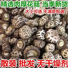 �㹽��؛�������_����Ģ����؛�ɻ������خa500g�o�����r��