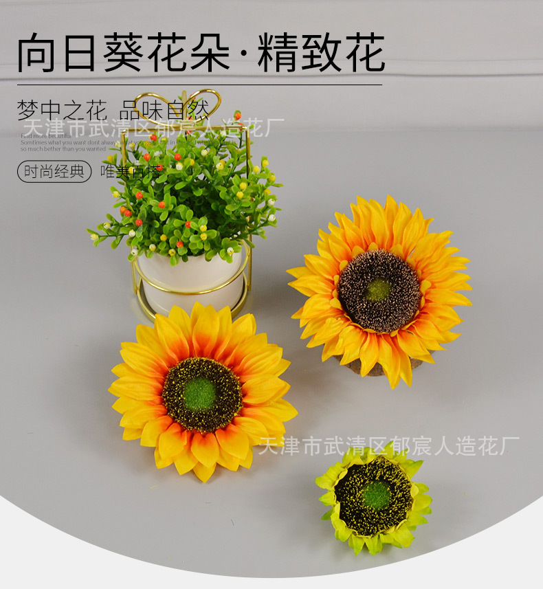 向日葵花朵_03.jpg