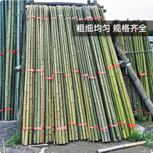 现货大毛竹菜园搭架细竹杆旗杆庭院装饰装潢粗竹竿批发篱笆竹围栏
