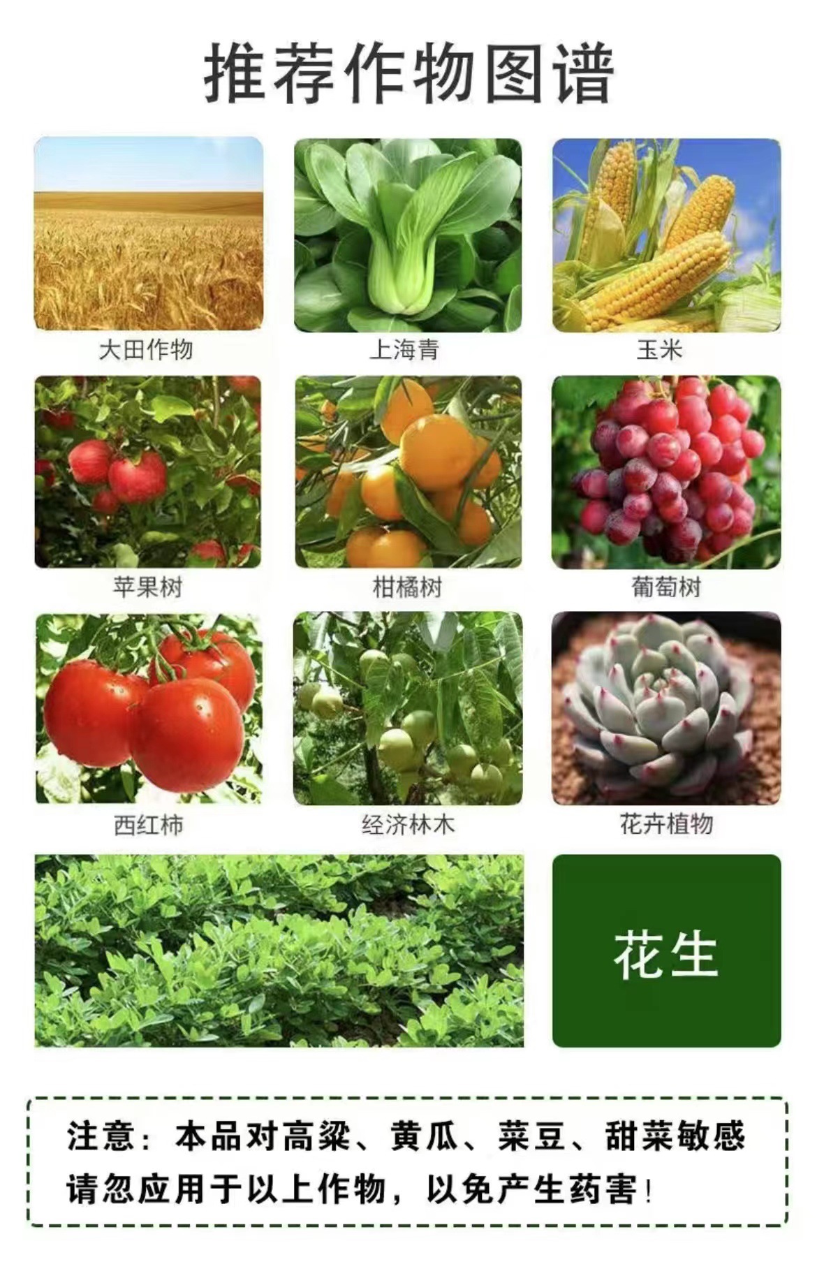 0ef8e2bdb1d429fc79fba9c4bcf41b