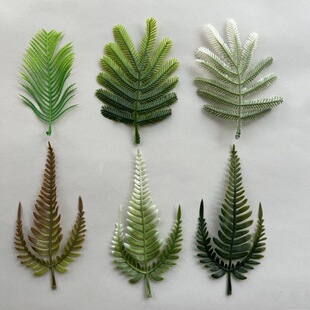 ާ~ˮ Pβݲ˹~Gɫb廨ɭϵػ