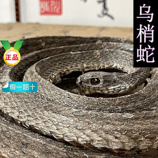 ��������ș����Ʒ�Ĵ������߸ɿ����x��l�����ݾ����B����ԭ��