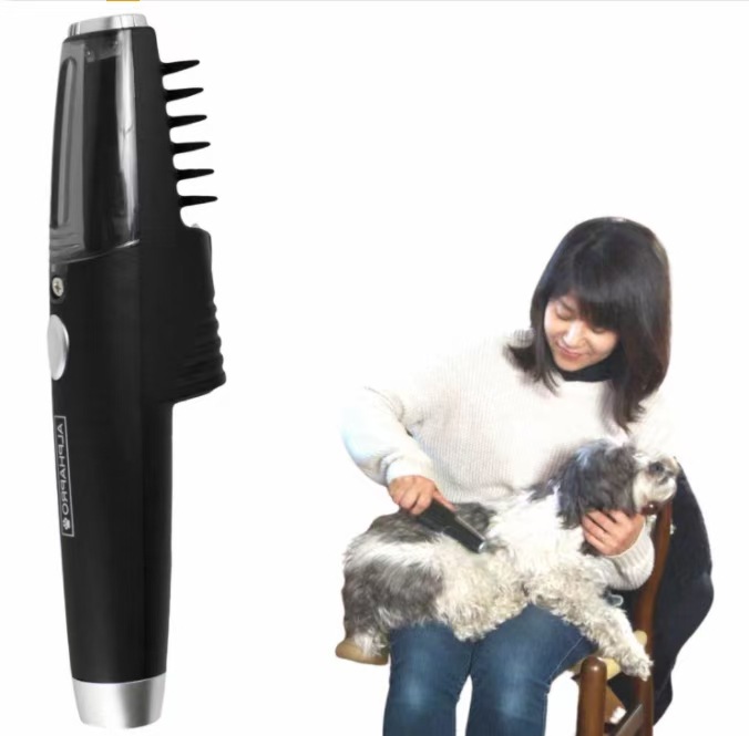 QQ图片20211229155115