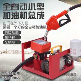 车载小型加油机12V24V220V大流量抽油泵柴油泵全自动电子计麦太保
