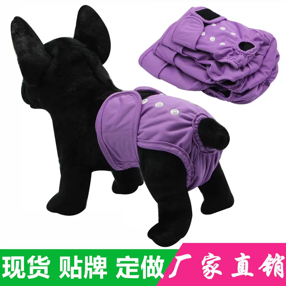 Asenappy母狗生理裤泰迪金毛月经裤狗狗卫生尿裤防骚扰母狗月经裤