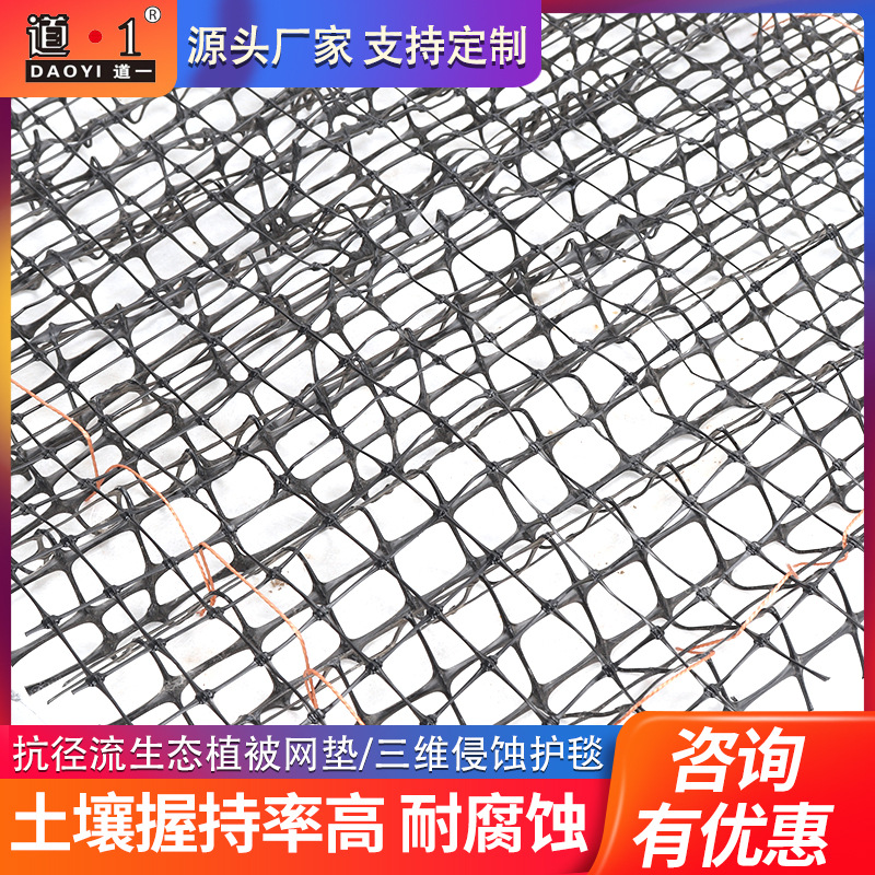 厂家批发护坡塑料三维植被网 三维植草网 三维土工网垫价格合理