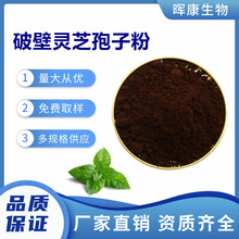 破壁灵芝孢子粉98% 富硒灵芝孢子粉 陕西晖康生物 现货供应