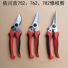 ������752. 782 .762��֦�� ժ���~ѿ���� ��֦�@ˇ���� ��֦��