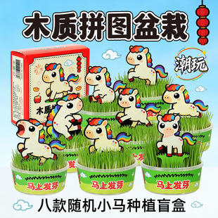 �R��ľ�|ƴ�D�����R��ľ�|ƴ�D�����Űl�����Ի�DIYֲ��ˇƷ�[��
