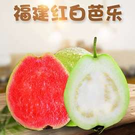 桃子;瓜果类;李子/布林