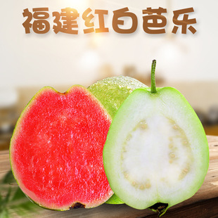 �������ݼt�İŘ� ���l3�����r�t��ʯ��t������ܛ�Ř�����ˮ��