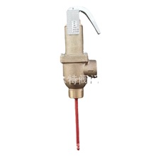 AETV1��P/T�y ����늟�偠t ���I��ˮ���Üضȉ�����ȫ�yA40 DN25