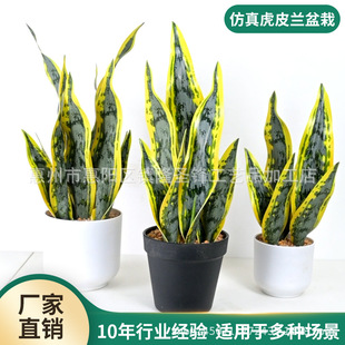 ���滢Ƥ�m�����҃���ҾӾGֲ�����m�����辰�͏dС���Ԕ[�����l