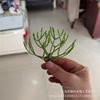 Realistic plant lamp, plastic fork with accessories, wholesale