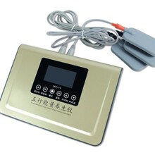 DDS Bio Electric Massage Machine Bioenergy Massager Me