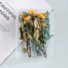 K26 Fantasy Rose: free hemp rope for binding flowers and leaves