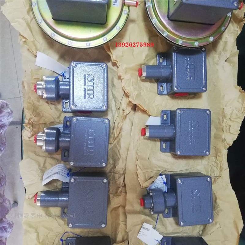 美国索尔炉膛压力开关BH-204024-204