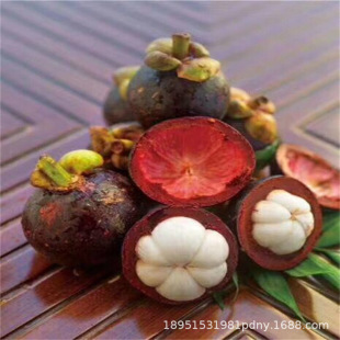 ̩���o��ɽ��������ɽ������Ϸ������Nֲ�ļ����Ե��Ԯ���Y��