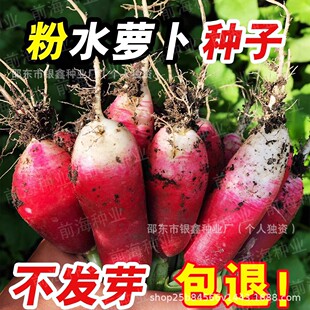 ���ˮ�}���N��ˮ�}�����r�����}���N��С�t�}���N���M�ڷ��}���N