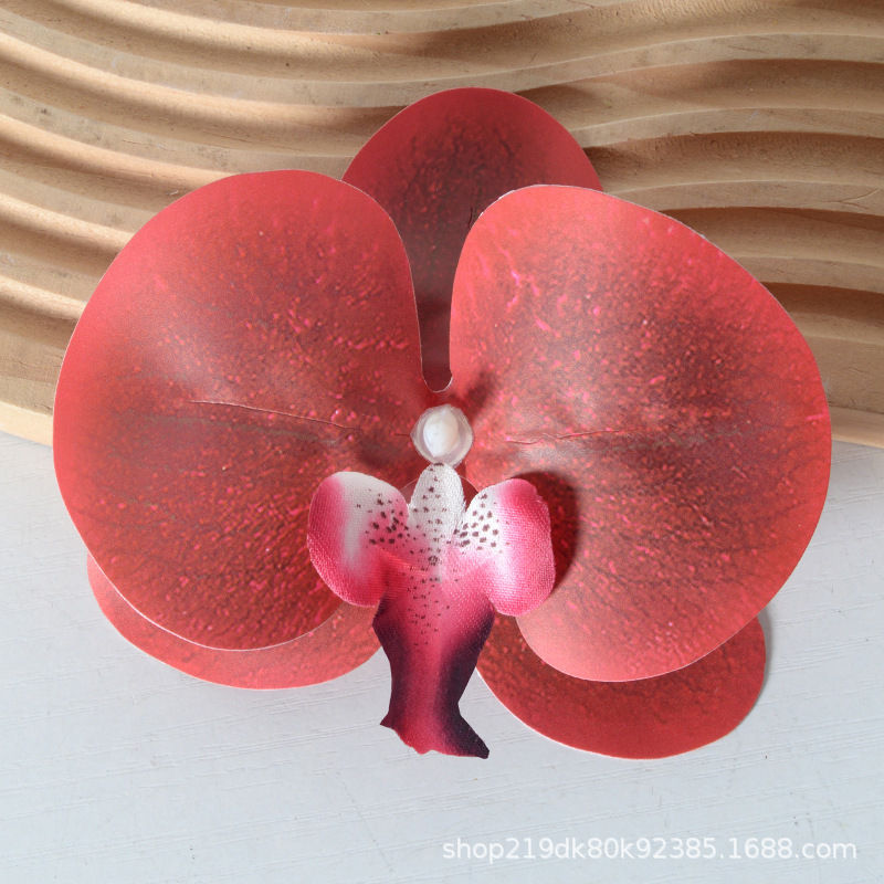 胡蝶蘭の花の頭は花びらの部品をシミュレーションします。|undefined