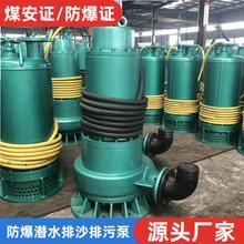 防爆潜污泵1140V660V 矿用BQS100-30-18.5KW BQS隔爆型潜水排沙电