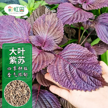 ~KNӴļK~NͥԺ׷N{ζִ֧l