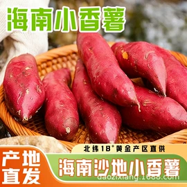 待煮面条;方便面类;粉丝、粉皮