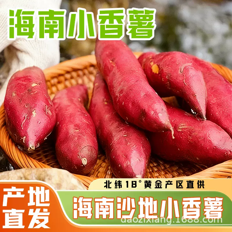 海南沙地小香薯农家自种小红薯地瓜新鲜红皮黄心板栗小番薯