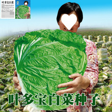 ~ײ˷Nشoͻ偲˷Nϱ߮a͟ᴺ߲