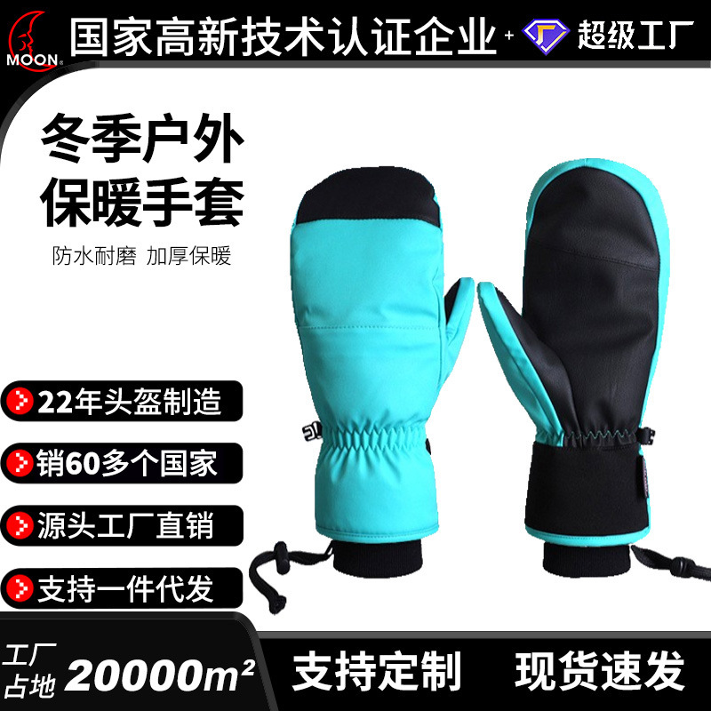 New ski gloves, waterproof, wear-resistant, with inner lining for all five fingers, suitable for snowboarding and skiing, warm and cold-resistant in winter, including inner lining.