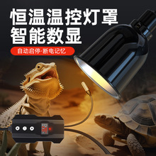 ���������ӟ�������x��B�����ˮ���񱳟����ܜؿ����M��