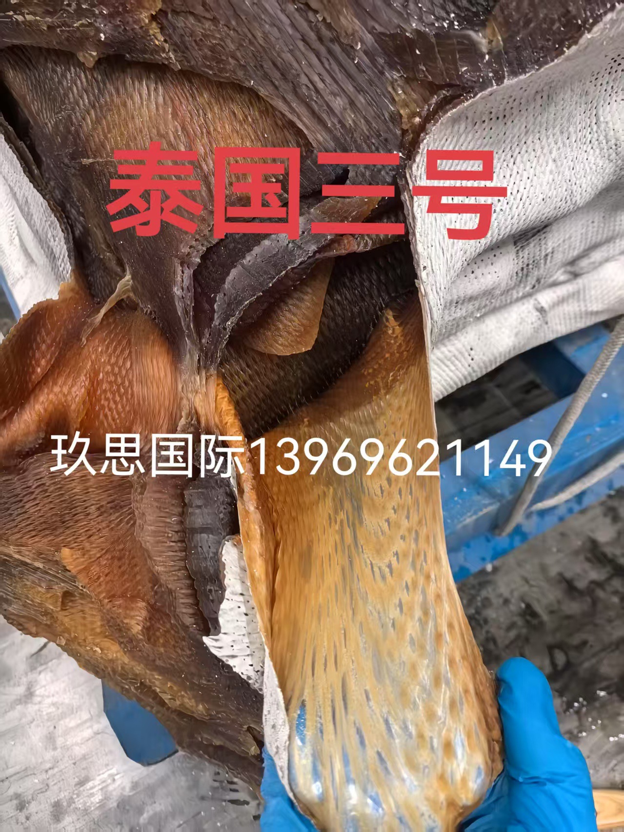 1eff027a76c451f38fb7ea3222ab74