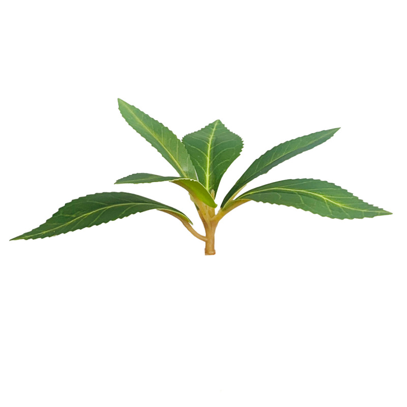 模擬馬酔木の葉、緑の植物、花の葉、装飾鉢植え、ツリーガーデンエンジニアリング、家庭用緑化用品|undefined