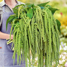 β���{�N��ǧ����������Ϙ������˹������{��ճ��С�ײ��͟��л�