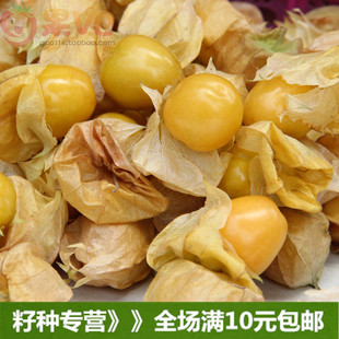 ���ږ|������N���S����N�� �t���� ���\�� �{�� ��{�r���N��