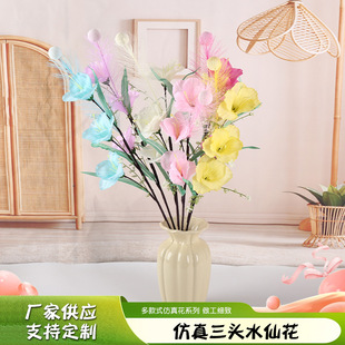 ���Ʒ������^ˮ�ɻ��S��������¾Gֲ�ٻ��JȔ���h��֦�w��ݻ�c