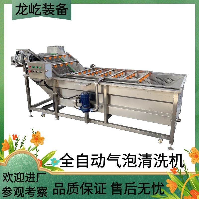 果蔬气泡清洗机黄桃气泡清洗机水果清洗蔬菜清洗机多用途清洗机