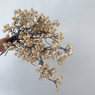 ���滨С�׹������ DIY�����L�҃��b͹ŶU��[�O�廨ܛ�b��ˇ