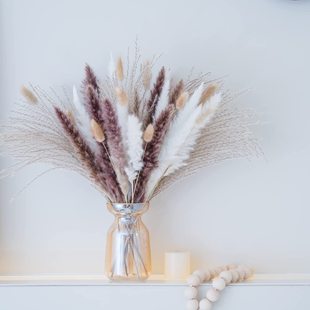 Small Reed, Cattail, Rabbit Tail Grass, Natural Dried Flower Bouquet Wholesale, Real Pampas Grass, Yunnan Factory, Amazon