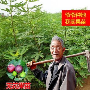 �o������������Ե��ԷNֲ�ش󲨼��tͥԺ�̨�ļ���Ƥ�o��������