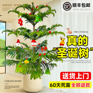 ����ɼ�����辰�}�Q��Շ��а���ɼ�九���ļ������҃��׻��b�