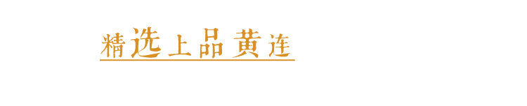 Dried Coptis Slices Huang Lian 500g Traditional Chinese Herb for Decoction and Herbal Tea in use