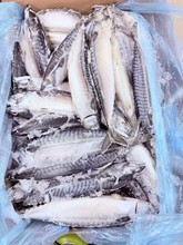 ����໨�~Ų�����u�M���T�~��ռ�~Ұ�� ����20kg���ß������